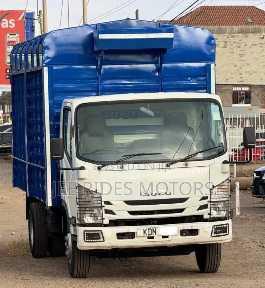 Isuzu NQR Local 2023
