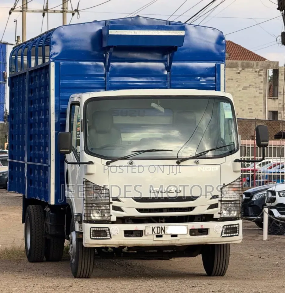 Isuzu NQR Local 2023
