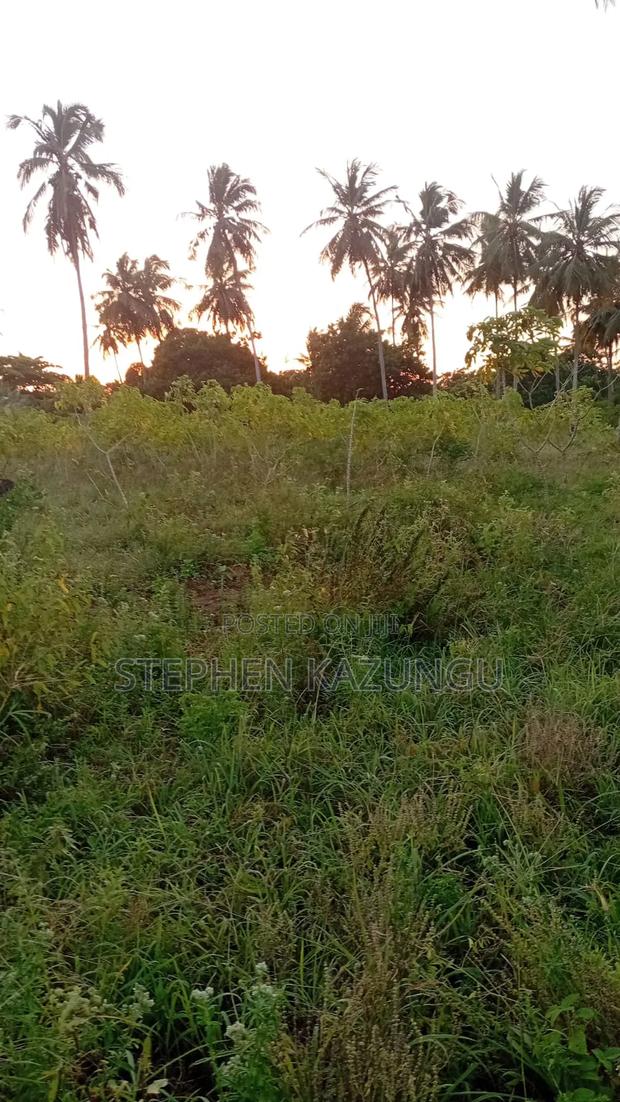 1/4 Acre Plot At Ganja La Simba, Near Kinondo Town