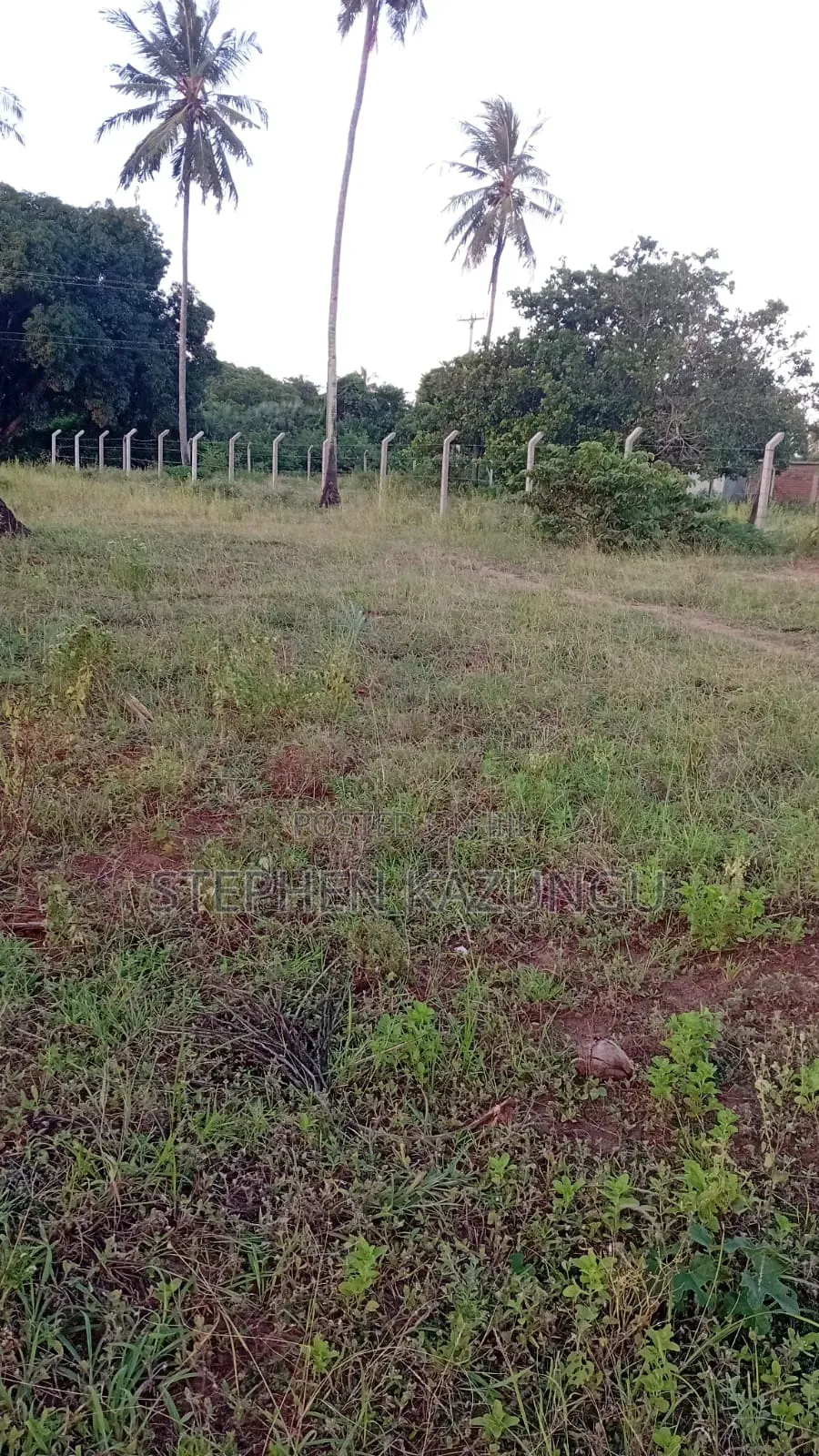 1/4 Acre Plot At Ganja La Simba, Near Kinondo Town