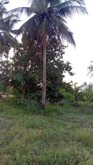 1/4 Acre Plot At Ganja La Simba, Near Kinondo Town