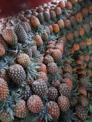 Fresh Pineapple for Sale in Wholesale (1 Pineapple Is 2kg) 1kg at 60ksh