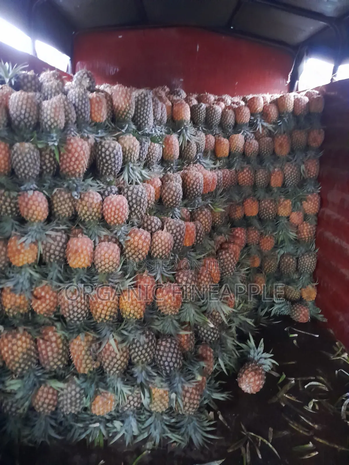 Fresh Pineapple for Sale in Wholesale (1 Pineapple Is 2kg) 1kg at 60ksh