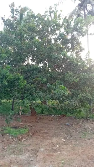 1/2 Acre Plot at Ganja La Simba Near Kinondo/Mwabungo Town Centres.