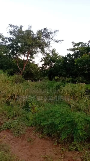 1/2 Acre Plot at Ganja La Simba Near Kinondo/Mwabungo Town Centres.