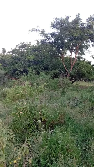 1 Acre Plot on Sale at Ganja La Simba Near Kinondo/Mwabungo Areas.