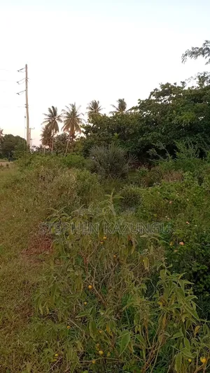 1 Acre Plot on Sale at Ganja La Simba Near Kinondo/Mwabungo Areas.