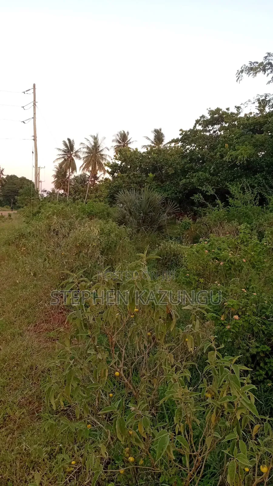 1 Acre Plot on Sale at Ganja La Simba Near Kinondo/Mwabungo Areas.