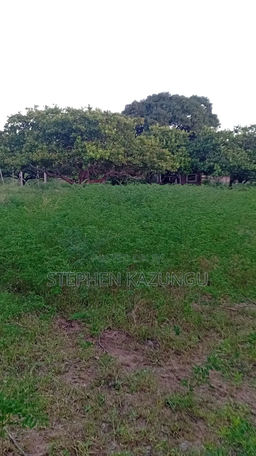 1 Acre Plot on Sale at Ganja La Simba Near Kinondo/Mwabungo Areas.