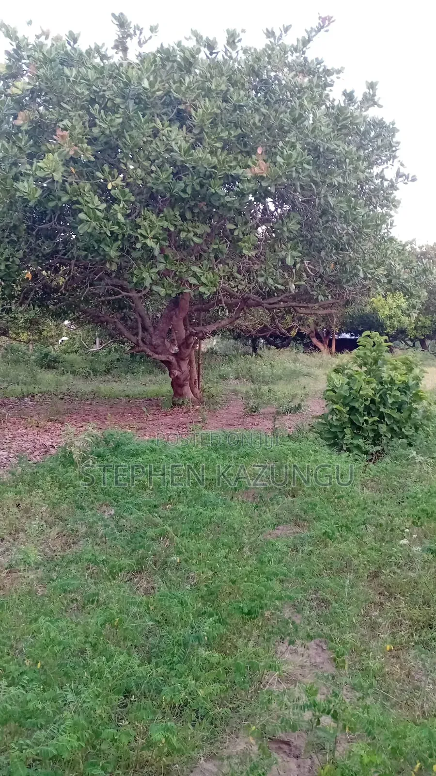 1 Acre Plot on Sale at Ganja La Simba Near Kinondo/Mwabungo Areas.