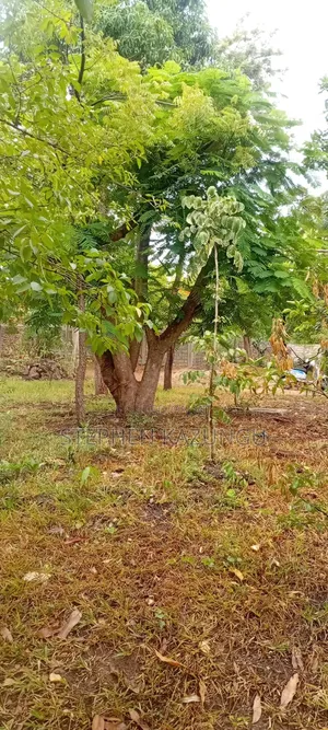 1 Acre Plot on Sale at Ganja La Simba Near Kinondo/Mwabungo Areas.