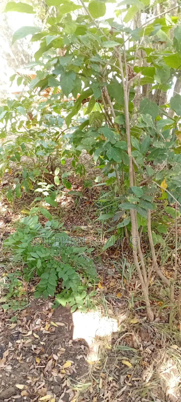 1 Acre Plot on Sale at Ganja La Simba Near Kinondo/Mwabungo Areas.