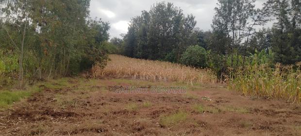 1 1⁄4 Acre Agricultural Land in Kirinyaga Nyangati