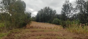 1 1⁄4 Acre Agricultural Land in Kirinyaga Nyangati