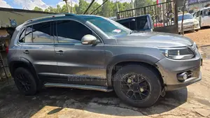 Volkswagen Tiguan 2011 Gray