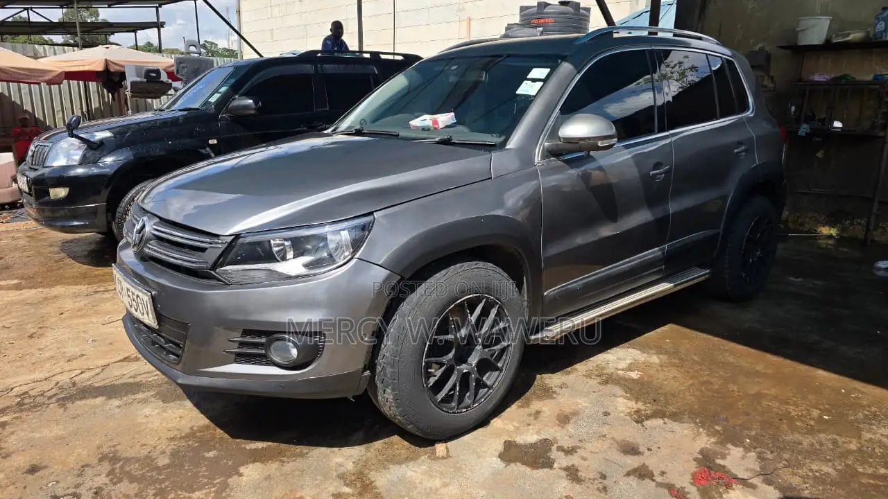Volkswagen Tiguan 2011 Gray