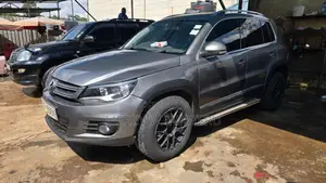 Volkswagen Tiguan 2011 Gray