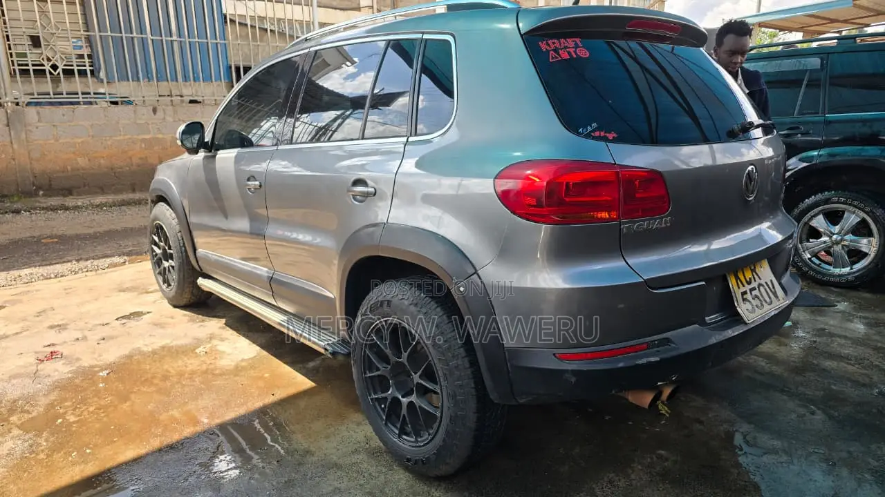 Volkswagen Tiguan 2011 Gray