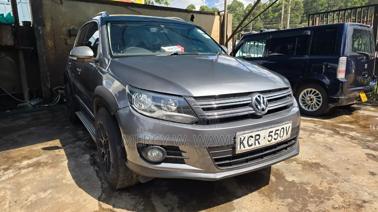 Volkswagen Tiguan 2011 Gray