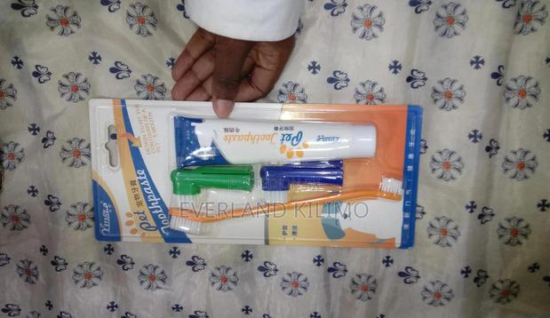 Pet Toothpaste and Toothbrush Set Teeth for Dogs and Cat