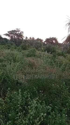 1/4 Acre Plot at Ganja La Simba Near the Road, and Close to Kinondo.