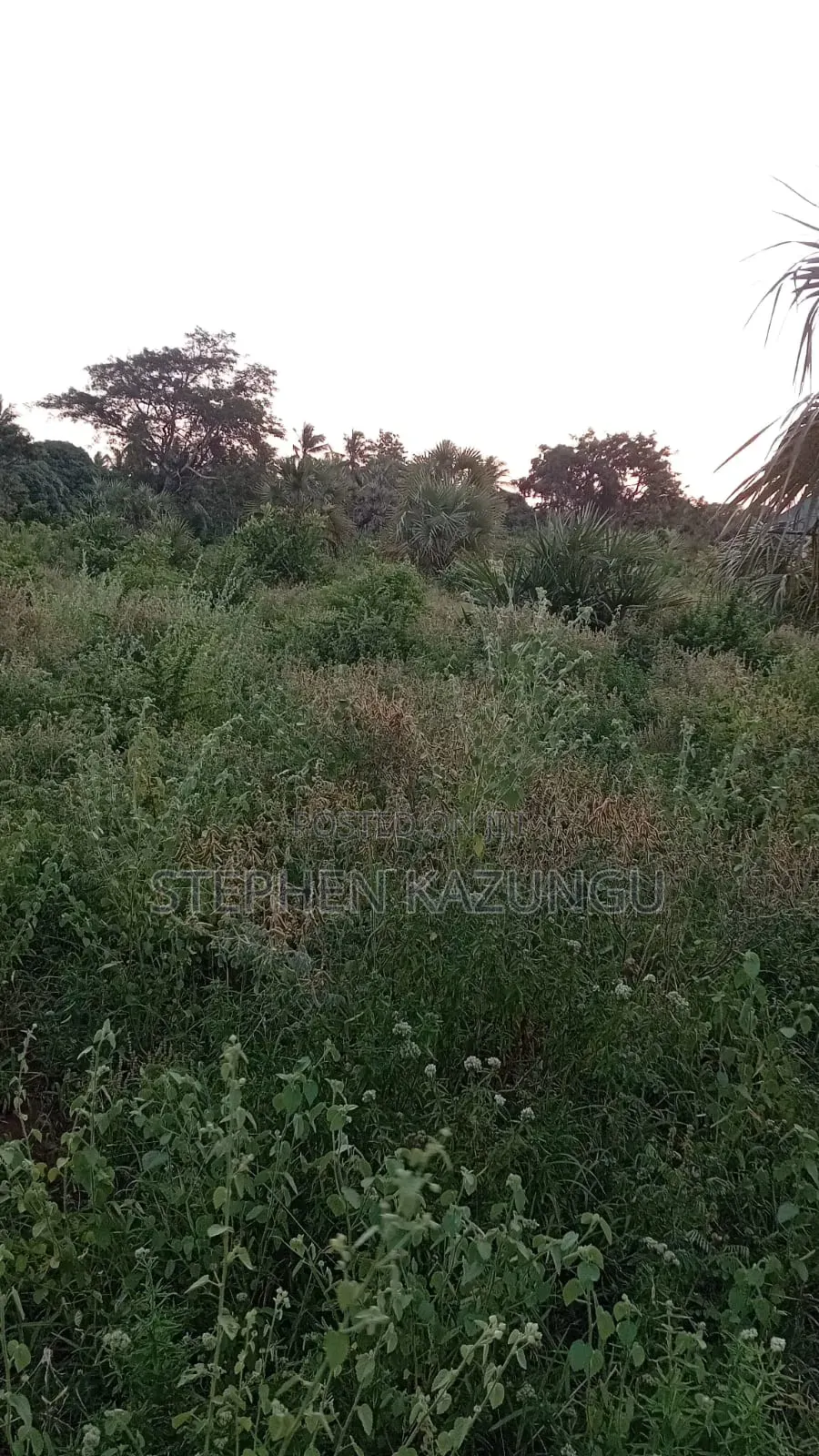 1/4 Acre Plot at Ganja La Simba Near the Road, and Close to Kinondo.