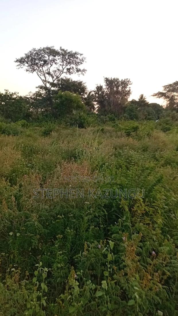 1/4 Acre Plot at Ganja La Simba Near the Road, and Close to Kinondo. - thumbnail 2