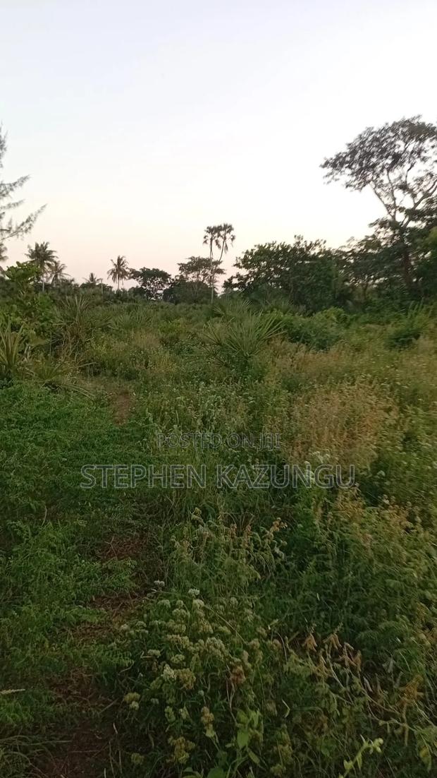 1/4 Acre Plot at Ganja La Simba Near the Road, and Close to Kinondo. - thumbnail 3