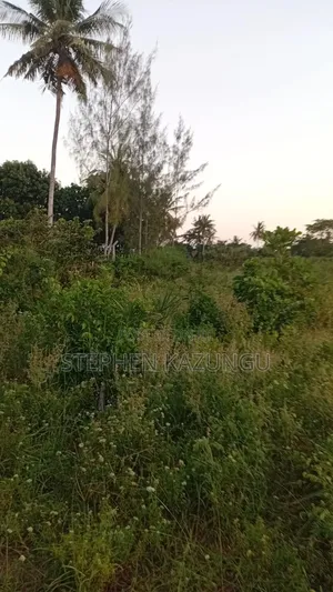 1/4 Acre Plot at Ganja La Simba Near the Road, and Close to Kinondo.