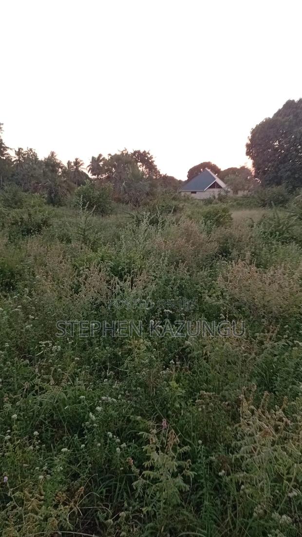 1/4 Acre Plot at Ganja La Simba Near the Road, and Close to Kinondo. - thumbnail 5