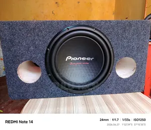 Pioneer Speaker