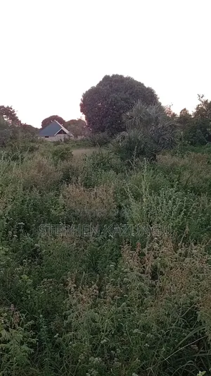 1/2 Acre Plot at Ganja La Simba Near to Kinondo/Mwabungo Towns