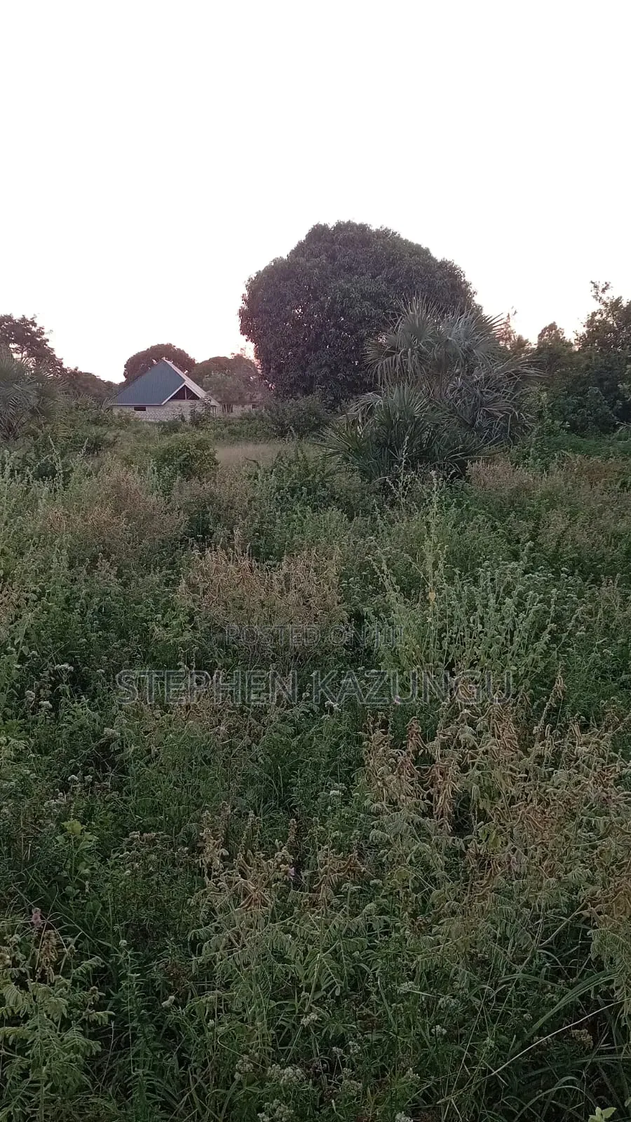 1/2 Acre Plot at Ganja La Simba Near to Kinondo/Mwabungo Towns