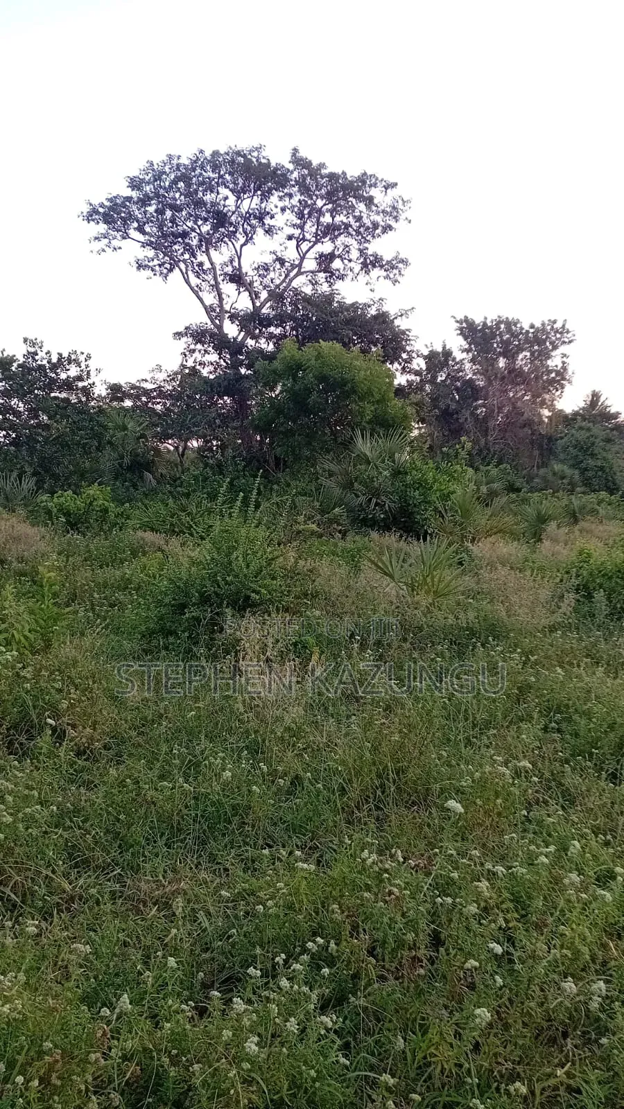 1/2 Acre Plot at Ganja La Simba Near to Kinondo/Mwabungo Towns