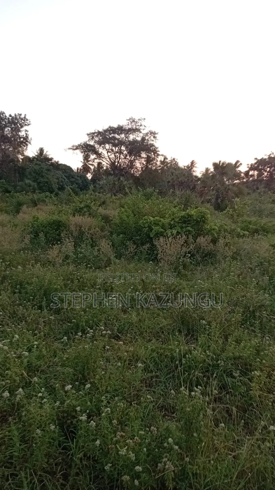 1/2 Acre Plot at Ganja La Simba Near to Kinondo/Mwabungo Towns