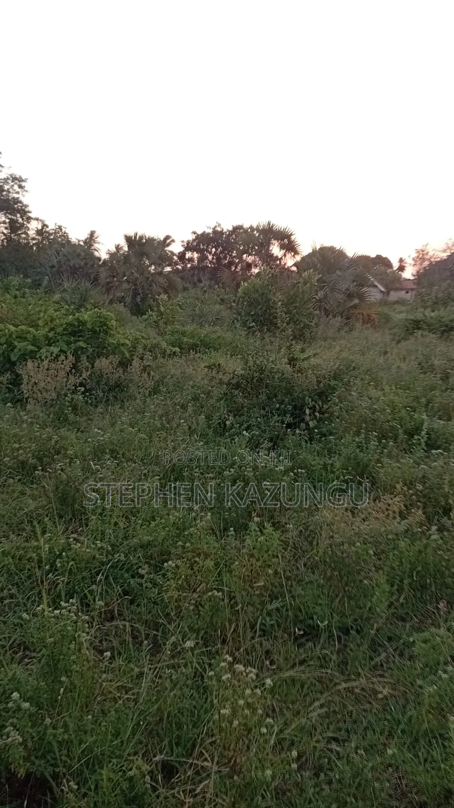 1/2 Acre Plot at Ganja La Simba Near to Kinondo/Mwabungo Towns