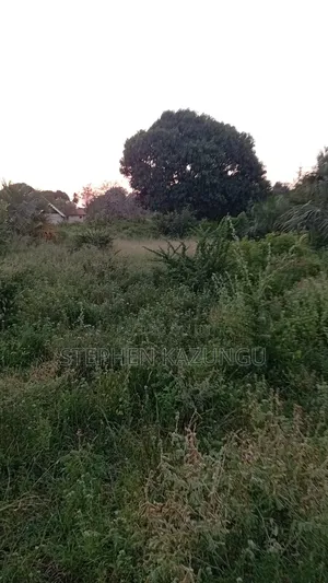 1/2 Acre Plot at Ganja La Simba Near to Kinondo/Mwabungo Towns
