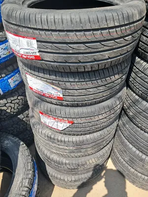 225/55r17 Doubleking