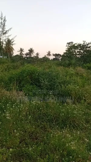 1 Acre Plot at Ganja La Simba, Close to the Road and Good Essentials