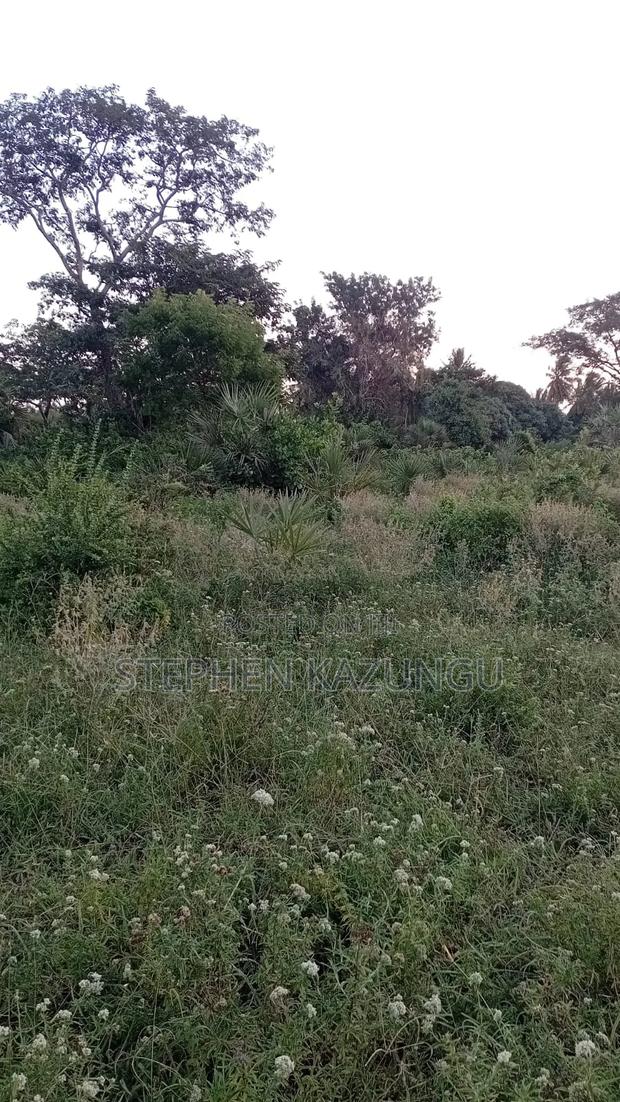 1 Acre Plot at Ganja La Simba, Close to the Road and Good Essentials - thumbnail 2