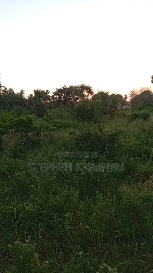 1 Acre Plot at Ganja La Simba, Close to the Road and Good Essentials