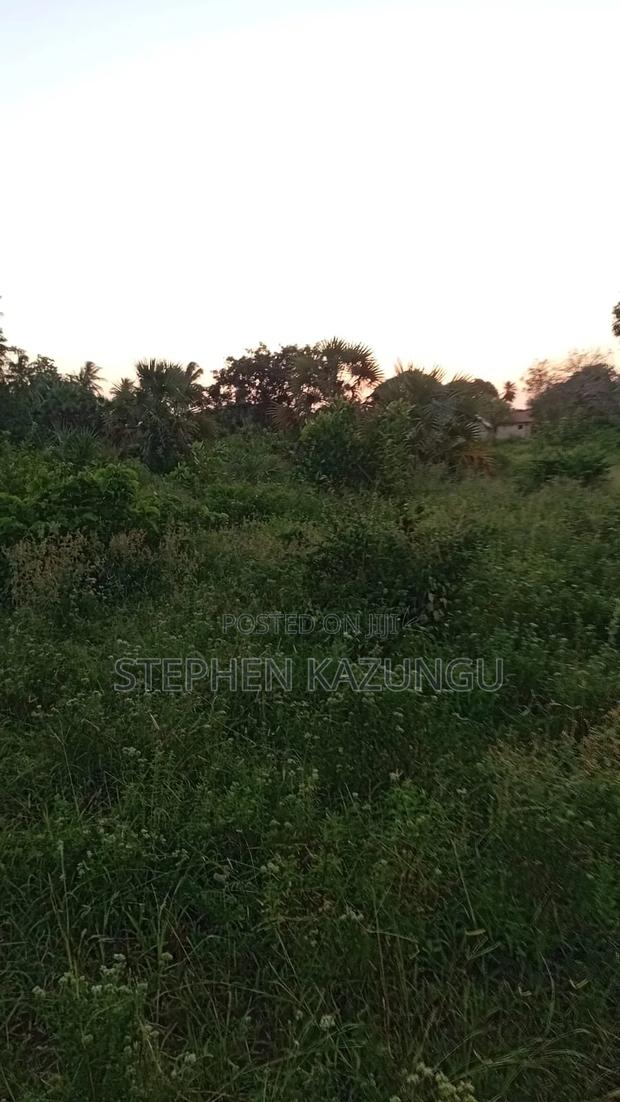 1 Acre Plot at Ganja La Simba, Close to the Road and Good Essentials - thumbnail 3
