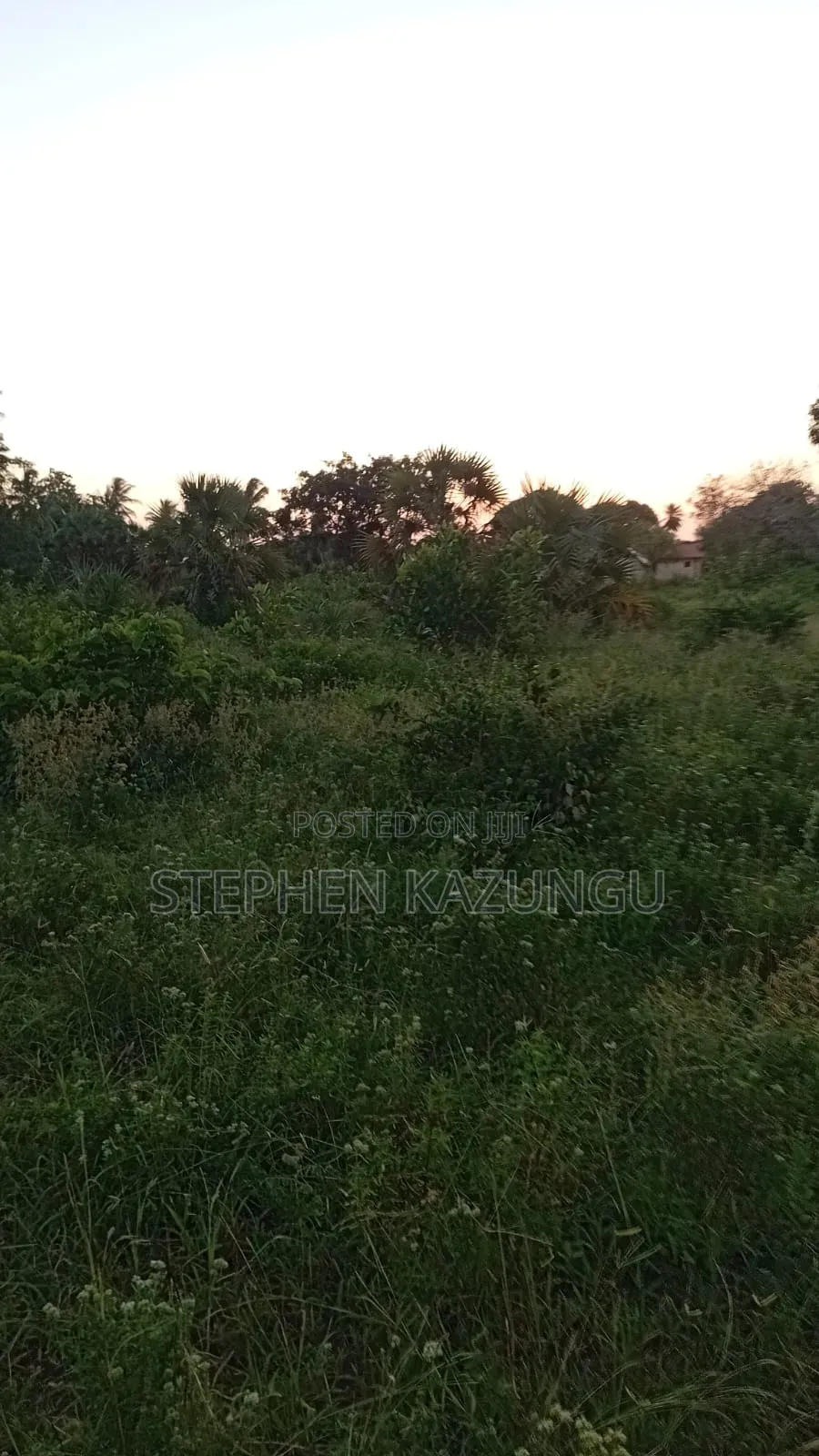 1 Acre Plot at Ganja La Simba, Close to the Road and Good Essentials