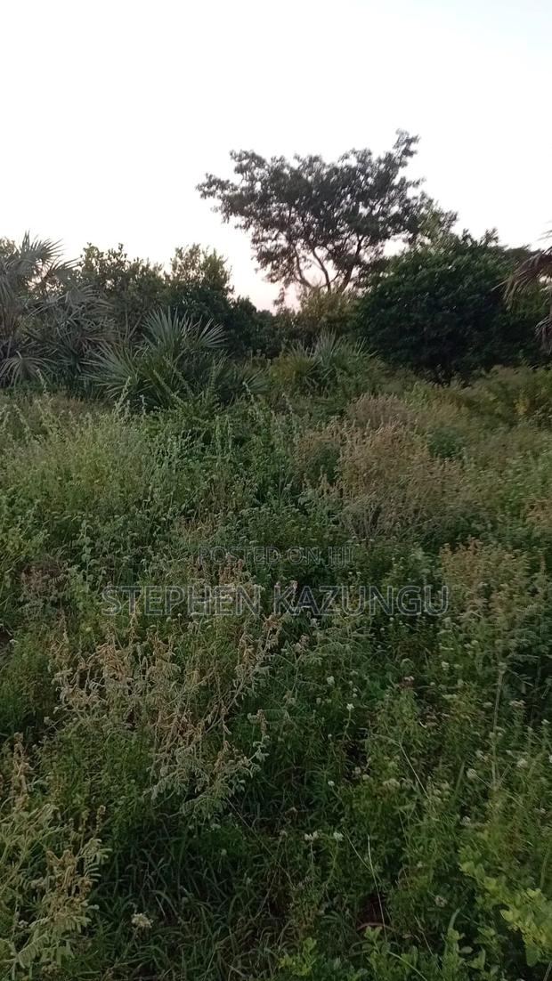 1 Acre Plot at Ganja La Simba, Close to the Road and Good Essentials - thumbnail 4