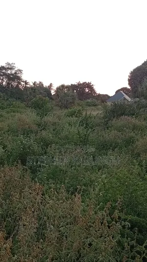 1 Acre Plot at Ganja La Simba, Close to the Road and Good Essentials