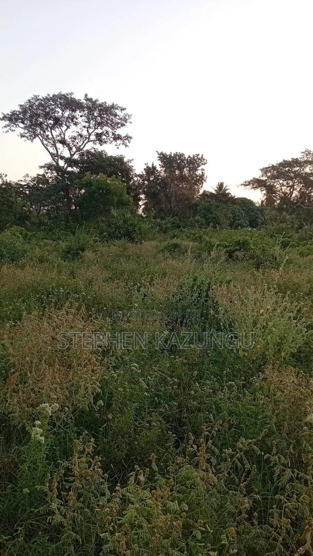 1 Acre Plot at Ganja La Simba, Close to the Road and Good Essentials - thumbnail 6