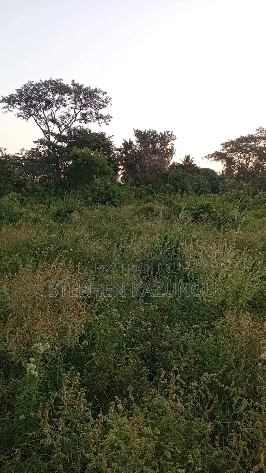 1 Acre Plot at Ganja La Simba, Close to the Road and Good Essentials