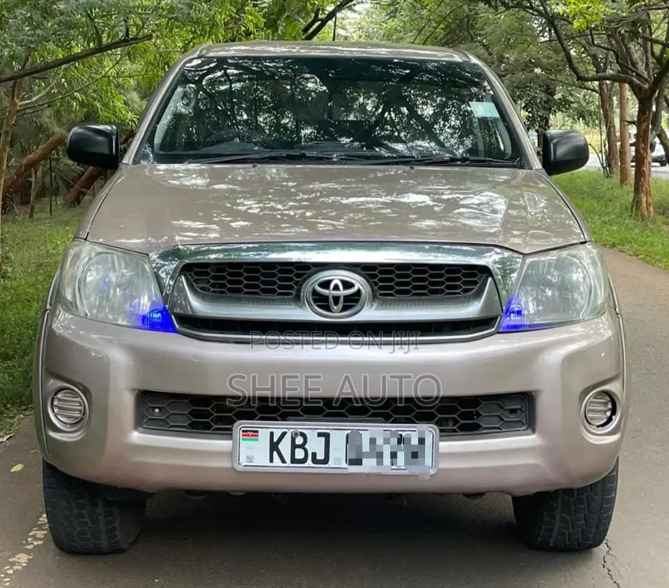 Toyota Hilux 2009 Gray