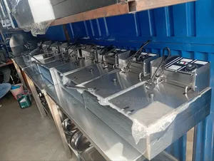 Imported Deep Double Fryer Twelve Litres.