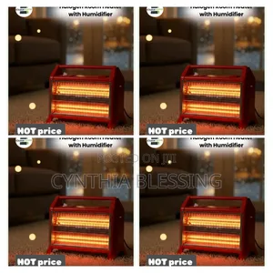 Halogen Room Heater With Humidfier